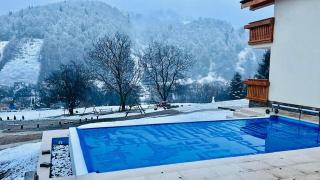 Friends & Family Mountain Resort - Moieciu de Jos - 2