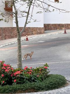 A dream with a sea view in Azzurra - 3