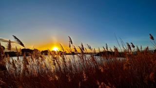 Entre Lac, Mer et Montagne - 7