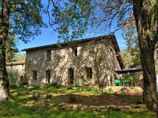 Grand gite & petit gite - Saint-Antonin - 5