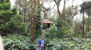 GT COFFEE ESTATE STAY coorg - Madikeri - 0