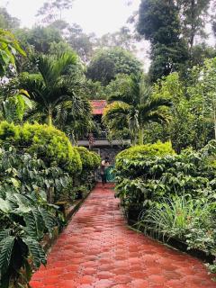 GT COFFEE ESTATE STAY coorg - Madikeri - 2