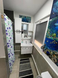 Villa Taraxha - Mitrovica - 5