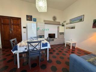 Leccio - San Vincenzo - 6