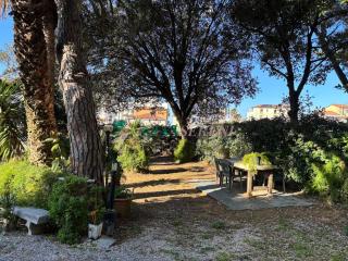 Leccio - San Vincenzo - 2