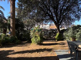 Leccio - San Vincenzo - 1