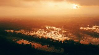 bucu hidden guest house, and meditation center - 7