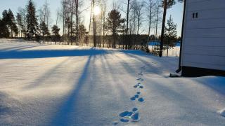 Villa Riverbank - Rovaniemi - 6