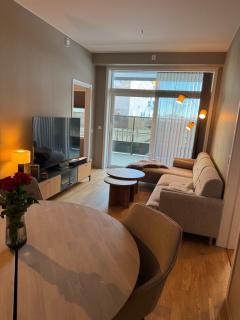 Newly built apartment for World Ski Championship - 0