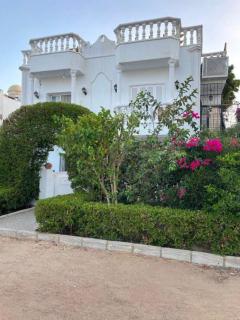 Blue House - Sharm el Sheikh - 0