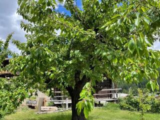 Chalet familial - Grimentz - 2