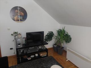 Jasna Apartman - Vrnjačka Banja - 8