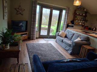 The Potting Shed And The Garden Shed Self Catering - Carmarthen - 3