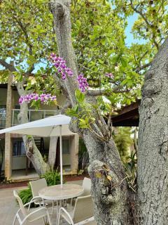 Itacimirim Village Laguna - Camacari - 1