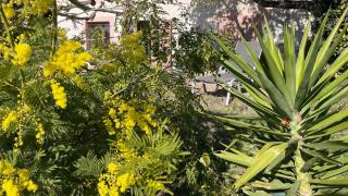 Large private garden, quiet 2-bedroom apartment, air conditioning, wifi, parking - Cassis - 9