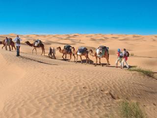 Camp Sahara Holidays - Mhamid - 7