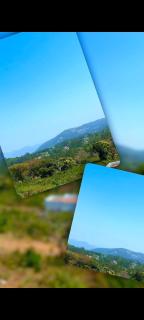 Dozia's Paradise - Yercaud - 5