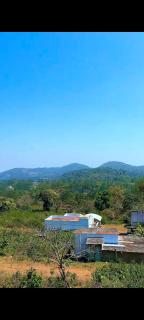 Dozia's Paradise - Yercaud - 1