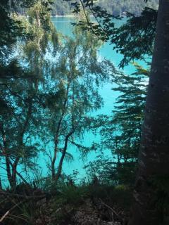 Glamping Lodge Hintersee - Hintersee - 4