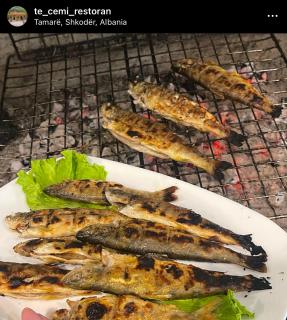 Hotel të Cemi Restaurant - 8