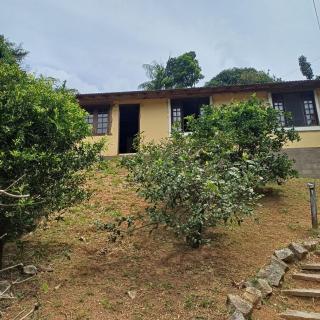 Casa do alecrim - 1