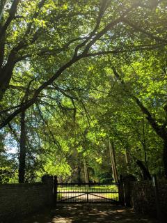5 star Cotswold luxury with orchard garden - Cirencester - 3