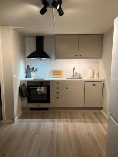 Bright and pleasant basement apartment near downtown, Lys og trivelig kjellerleilighet i sentrumsnært - 5