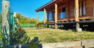 MoraNehuen - Villa Lago Rivadavia - 7