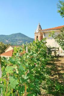 Agriturismo Costamagna - Noli - 0