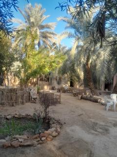 أطيل إنشال Camp Atil Inshaal - `Ezbet Bûgti - 3