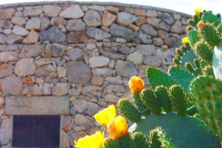 trullo macchie - 7