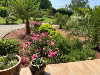Aux Trois Mûriers - Villeneuve-sur-Lot - 8