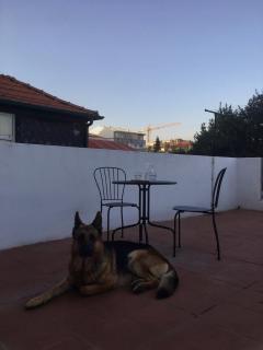 Porto's secret backyard - Porto - 0
