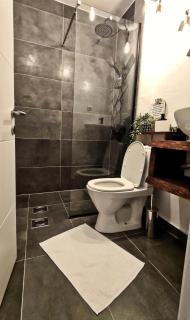 Open-space Apartment in the city center - Belgrado - 3