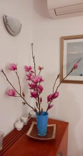 Apartman Ana Lotre - 7