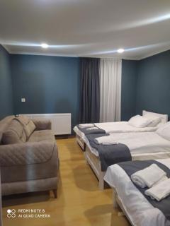 Villa In Bakuriani SoFii - Bakuriani - 9