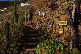 El Quinto Pino 3 habitaciones privadas con cocina y baño compartidos - 6