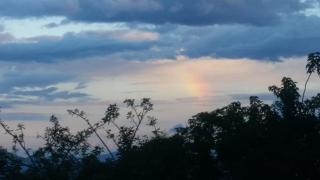 Jackal Buzzard Mountain Guesthouse - - 7