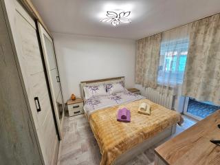 Apartment central Lupeni-Straja - Lupeni - 7