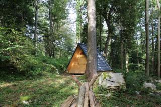 Glamping Zeleni raj Vače - 8