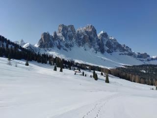 Dolomiten Home - Villnoss - 3