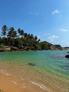 Tropical Homestay By Golden Beach - 4