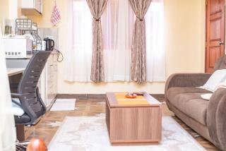 Serene STUDIO apartment in Machakos - 1