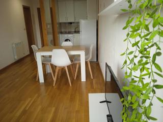 Apartamento Rimiño - Salvatierra de Miño - 9