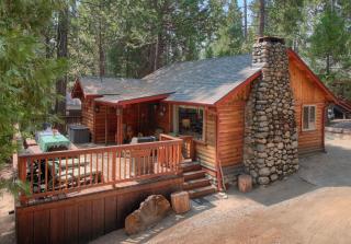 Chipmunks Holiday - Wawona - 9