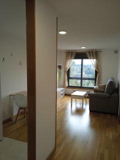 Apartamento Rimiño - Salvatierra de Miño - 8