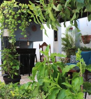 Jardín de la Nonna - Habitación Doble San Pedro Sula, Honduras - 3