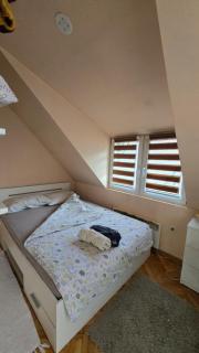 Cozy loft - Belgrado - 5