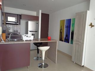 MODERNO Y ACOGEDOR Apartamento A UNOS PASOS DEL CENTRO COMERCIAL BUENAVISTA - 4