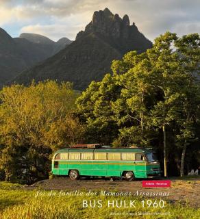 Bus Hulk 1960 - Hospedagem Temática - 9